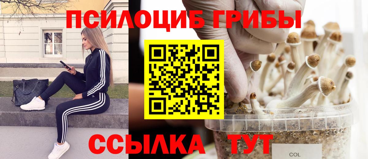 Галлюциногенные грибы мицелий  Вход с VPN  Юрга 